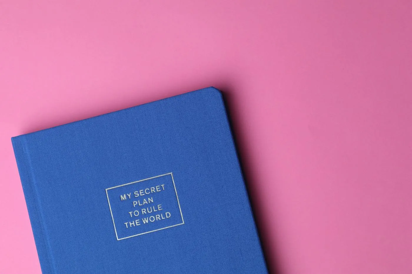 A closed blue notebook on a pink background, with «My secret plan to rule the world» on the cover